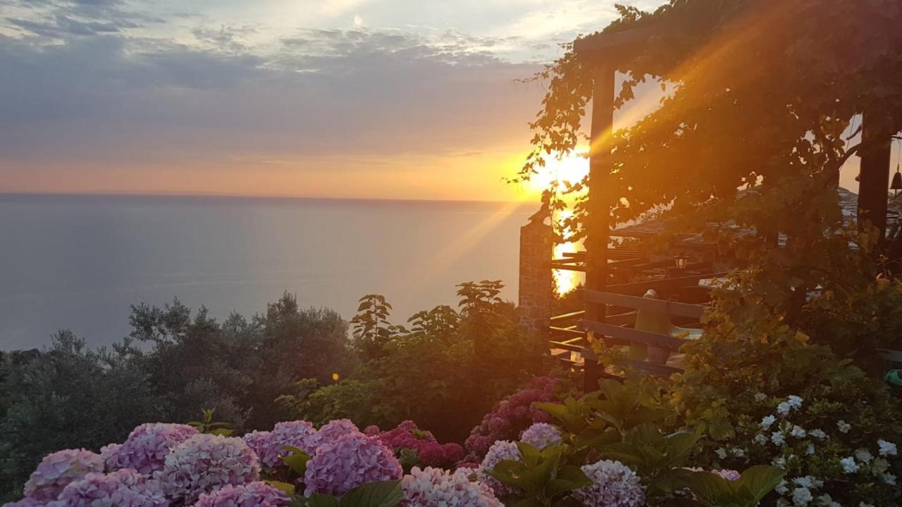 Sunriseview Suite And Gallery 扎戈拉 外观 照片